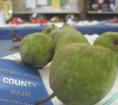 Highland County Fair, Highland County, Virginia, fair, amusements, tourism, travel, agriculture, family, vacation, fun