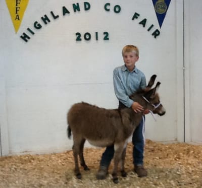 Highland County Fair, Highland County, Virginia, fair, amusements, tourism, travel, agriculture, family, vacation, fun