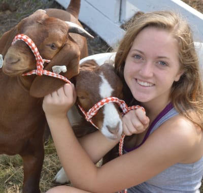 Highland County Fair, Highland County, Virginia, fair, amusements, tourism, travel, agriculture, family, vacation, fun