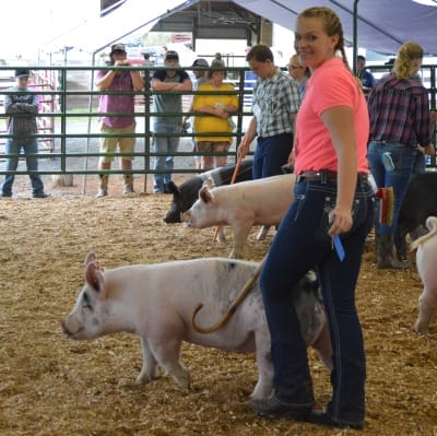 Highland County Fair, Highland County, Virginia, fair, amusements, tourism, travel, agriculture, family, vacation, fun