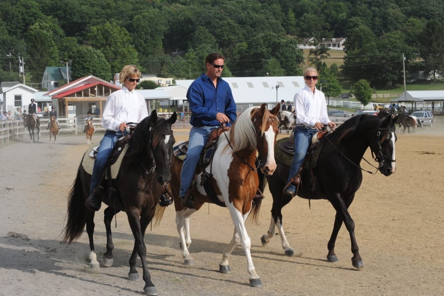 Highland County Fair - Horse Show - Monterey, Virginia